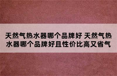 天然气热水器哪个品牌好 天然气热水器哪个品牌好且性价比高又省气